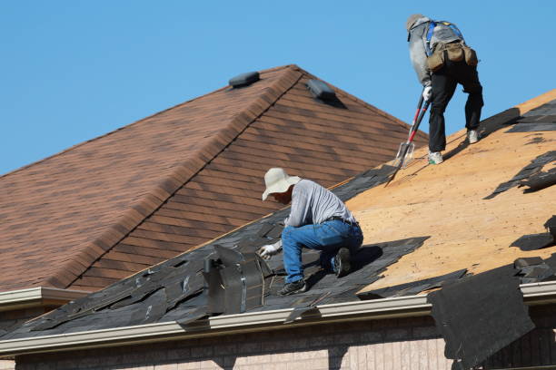 Best Roof Moss and Algae Removal  in Pocasset, MA